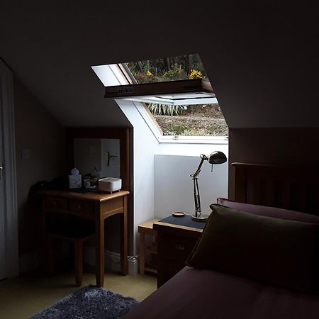 Forest View Woodland Lodge Ballard Extérieur photo