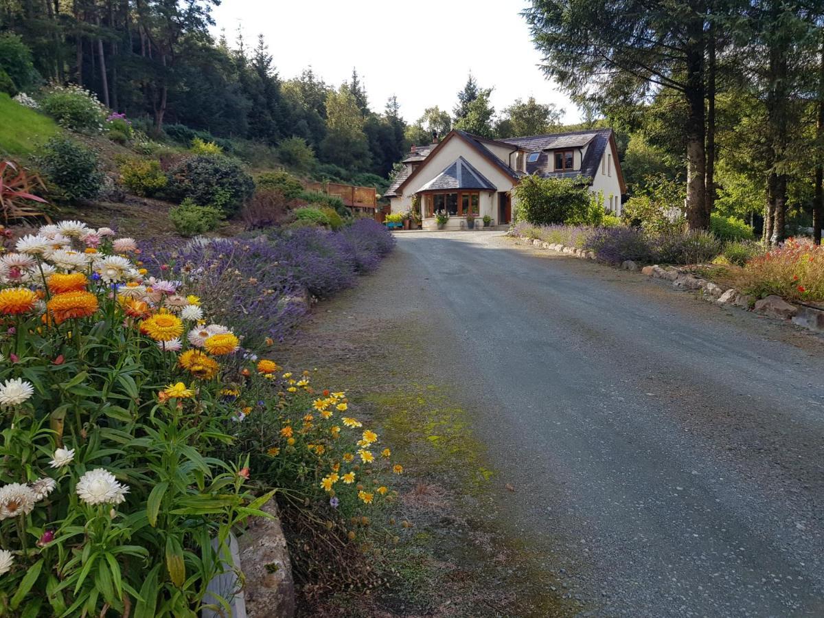 Forest View Woodland Lodge Ballard Extérieur photo