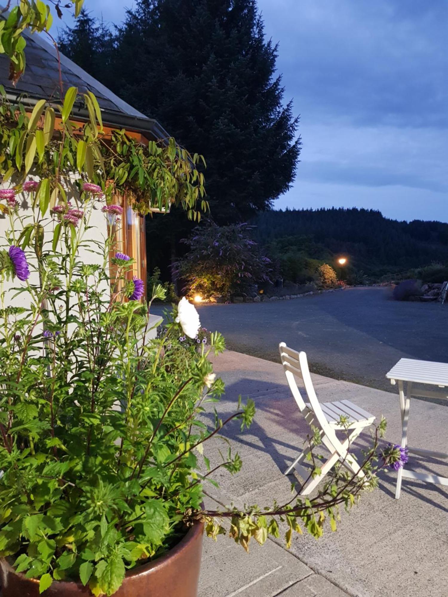 Forest View Woodland Lodge Ballard Extérieur photo