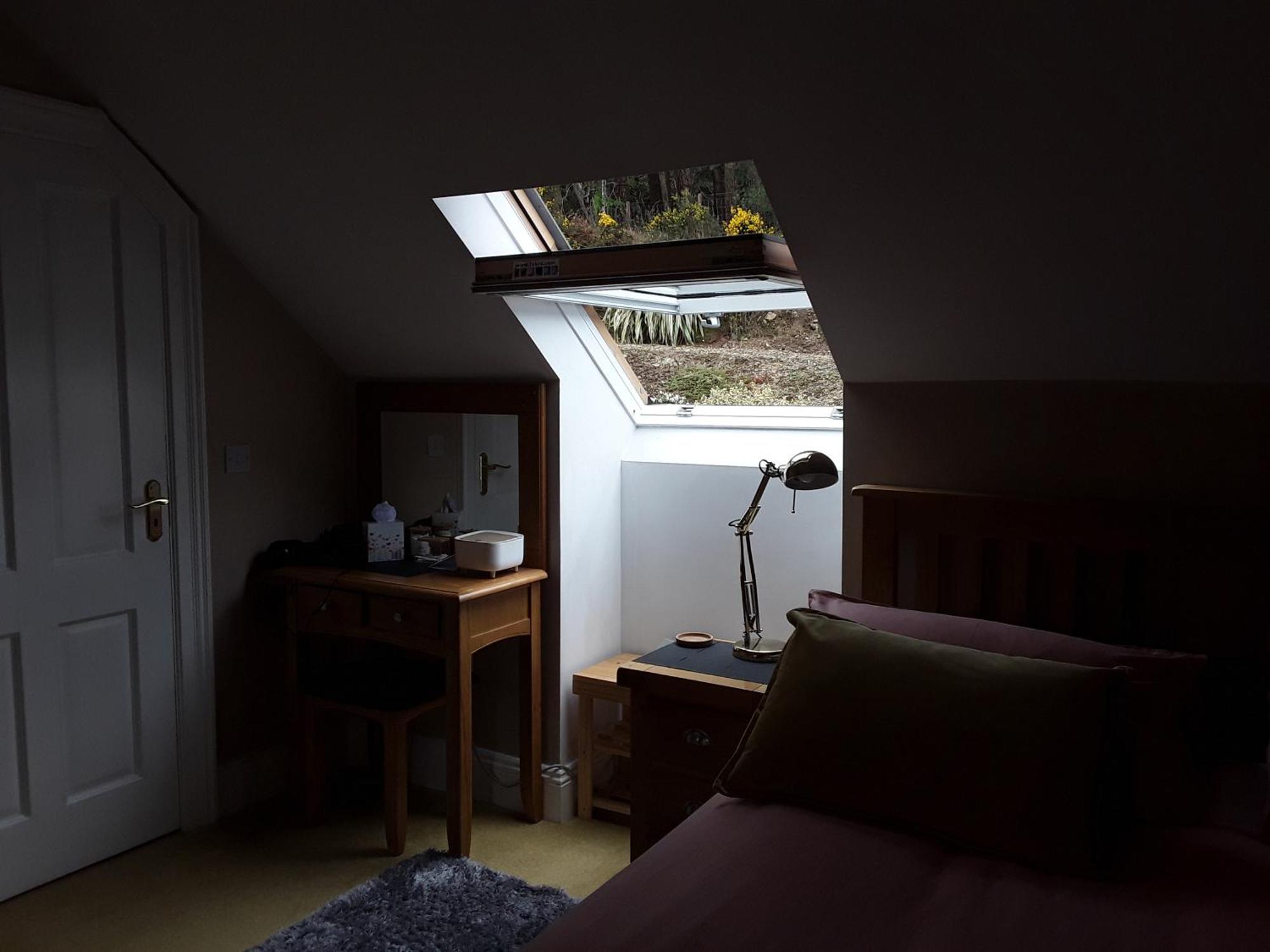 Forest View Woodland Lodge Ballard Extérieur photo
